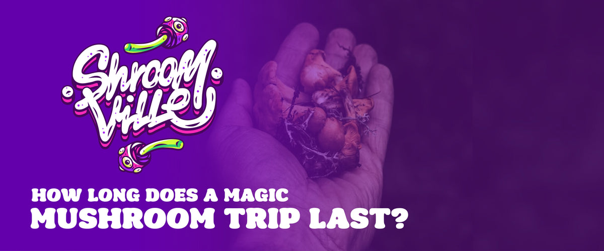 How Long Does a Magic Mushroom Trip Last?