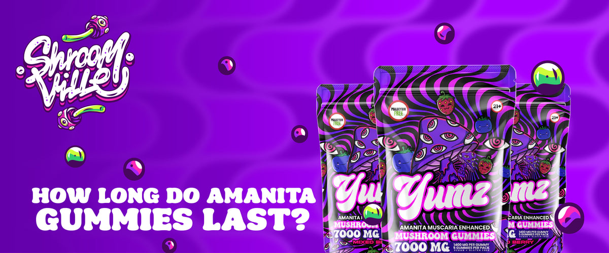 How Long Do Amanita Gummies Last?