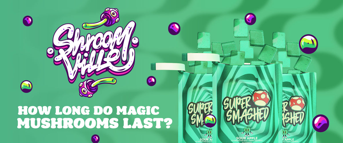 How Long do Magic Mushrooms Last?