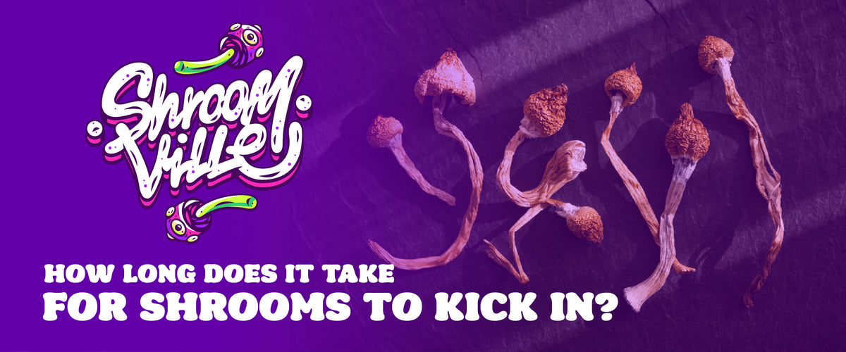 How Long Does it Take For Shrooms to Kick in?